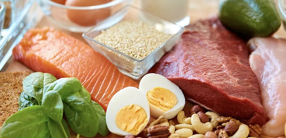 makanan yang banyak mengandung protein