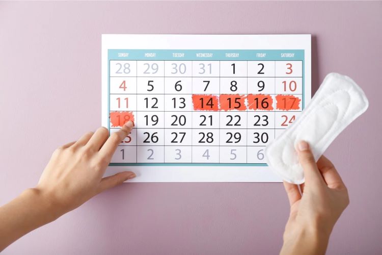 Mengapa Penting untuk Mencatat Siklus Menstruasi Anda? (Sumber foto: web, Nona Woman)
