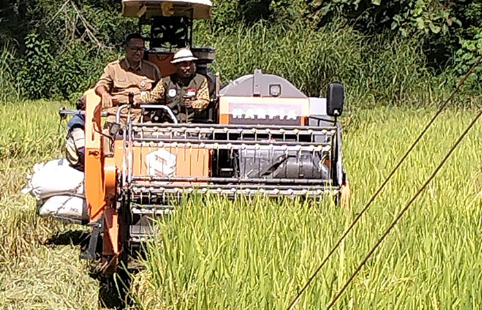 AKAN MELIMPAH: Petani di Kapanewon Saptosari saat memanen padi. DPP Gunungkidul menyebut para petani akan mendapatkan alokasi pupuk bersubsidi 38 ribu ton untuk masa tanam nanti.
