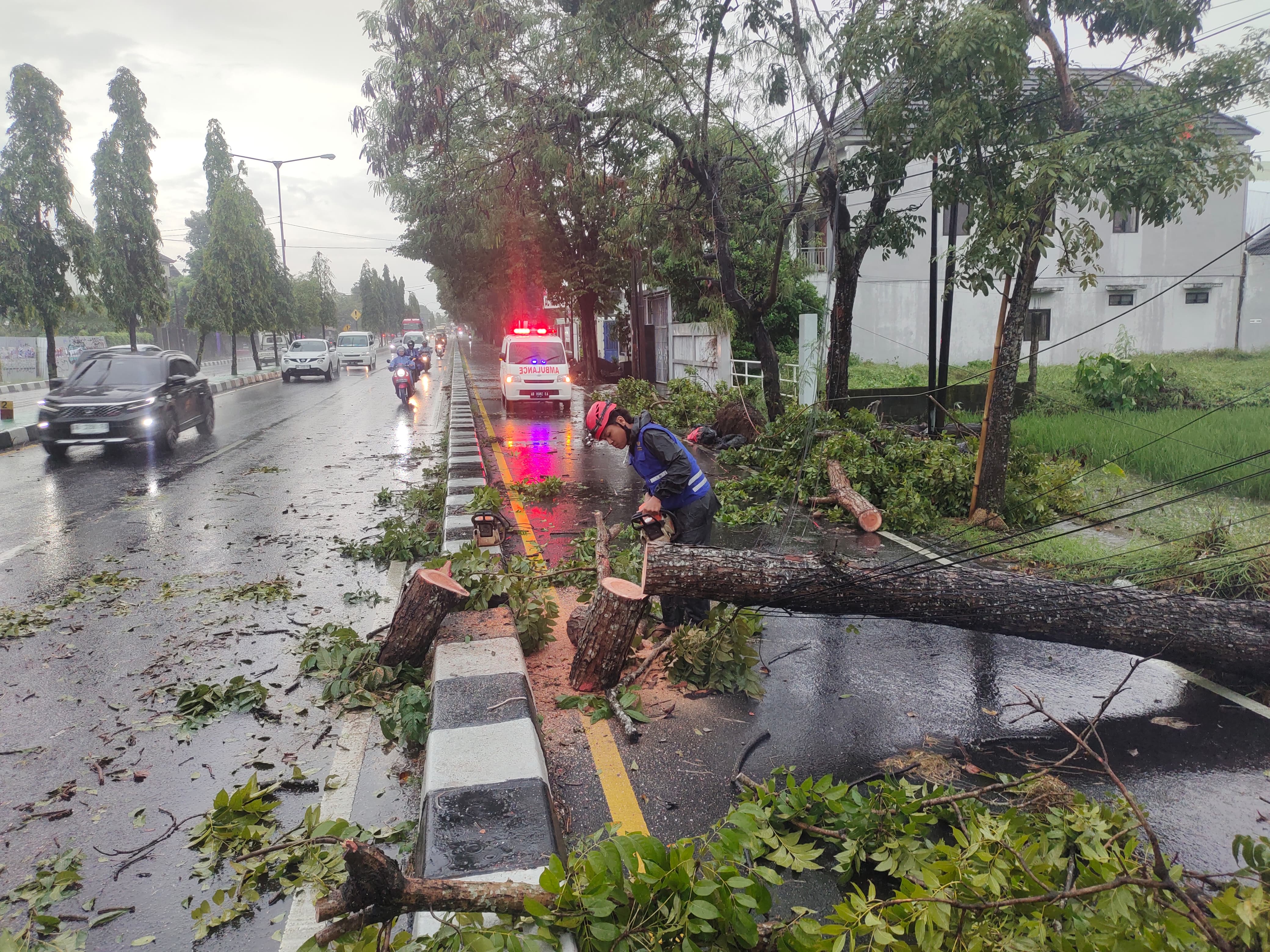 ESKTREM:  Petugas melakukan penanganan bencana pohon tumbang dampak hujan disertai angin kencang pada Selasa (23/4). (DOKUMENTASI BPBD SLEMAN)