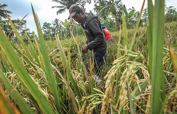 ELANG KHARISMA DEWANGGA/RADAR JOGJA