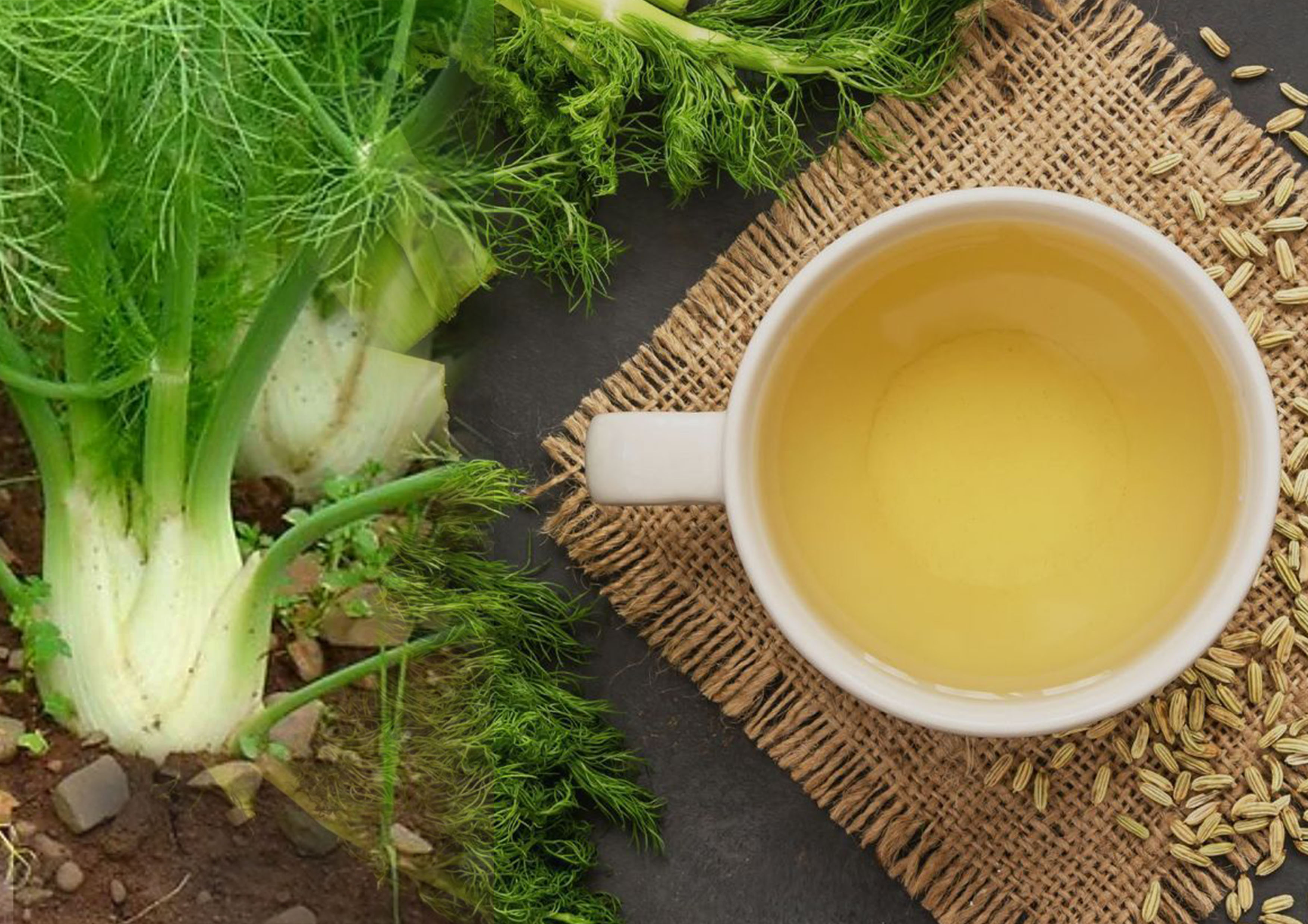 Tanaman adas dan minuman herbal biji adas.