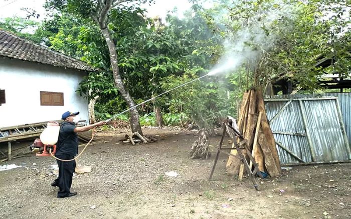 Warga sedang menyemprot tanaman yang dipenuhi ulat bulu