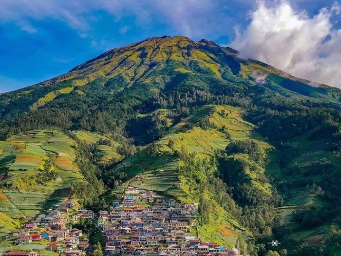 Pemandangan Nepal Van Java
