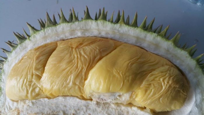 buah durian tidak boleh dikonsumsi berlebih bagi penderita asam urat