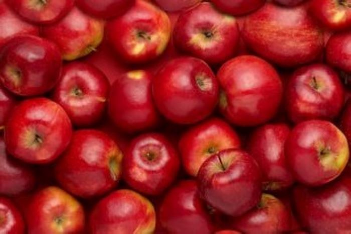 Bagi anda penderita asam urat, buah apel bisa menjadi salah satu buah yang dapat menurunkan asam urat.