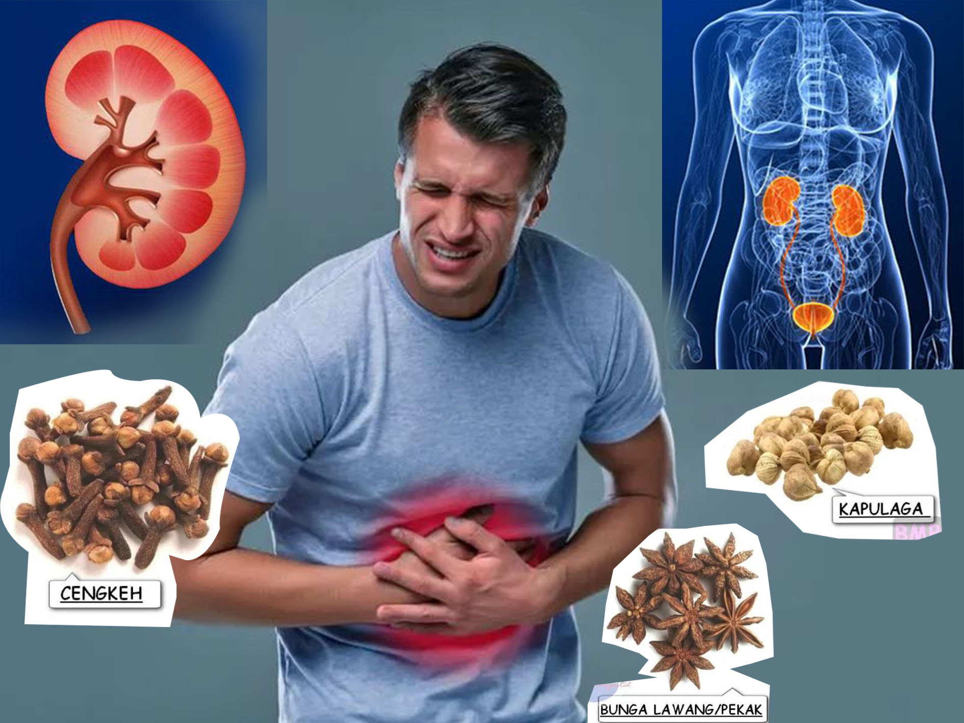 Ramuan herbal cegah gagal ginjal akut.