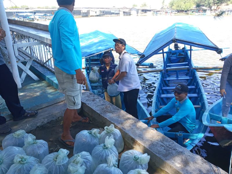 Penebaran benih ikan di Laguna Glagah dilakukan DKP dan masyarakat sekitar.