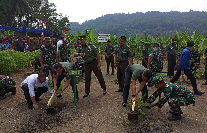 KETAHANAN PANGAN : Prajurit TNI Kodim 0709/Kebumen menginisiasi program ketahanan pangan melalui budidaya pisang Cavendish di Desa Tunjungseto, Kecamatan Sempor.