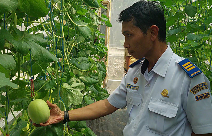 MUDAH PERAWATAN: Dwi Santoso saat menerima kunjungan Pj Bupati Kulon Progo Ni Made Dwipanti Indrayanti di green house miliknya di Padukuhan Bugel, Bugel, Panjatan, Selasa lalu (14/5).