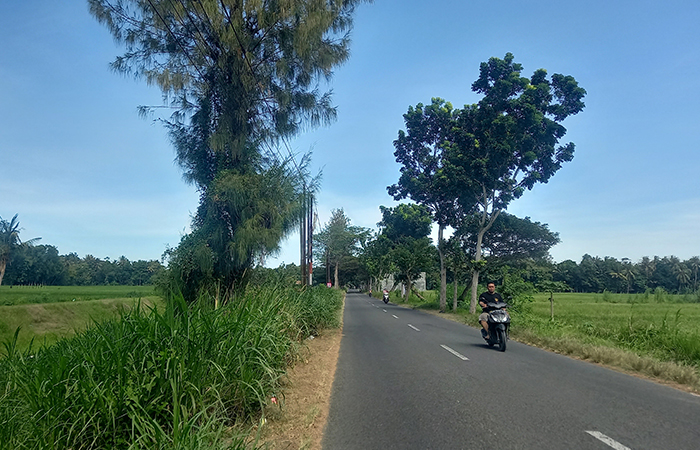 MINIM: Lokasi titik di Jalan Raya Sanden Kalurahan Caturharjo, Pandak, Bantul yang masih kekurangan lampu penerangan jalan umum (LPJU).