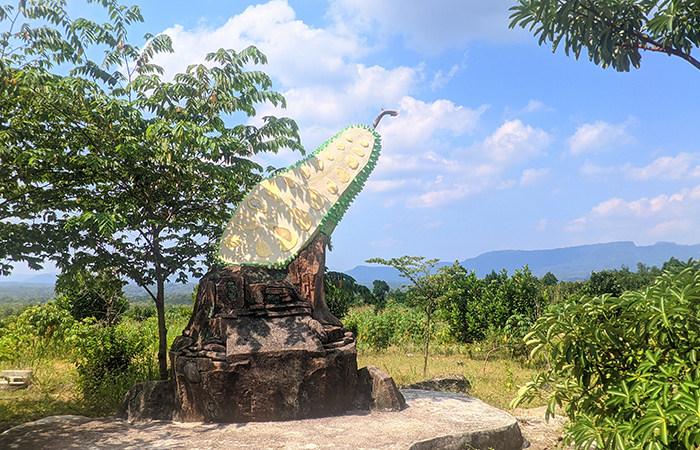 SEPI: Kondisi di Hutan Nangka yang terletak Kalurahan Jati Ayu, Karangmojo, Gunungkidul disiapkan untuk memenuhi kebutuhan bahan baku Gudeg Jogja.