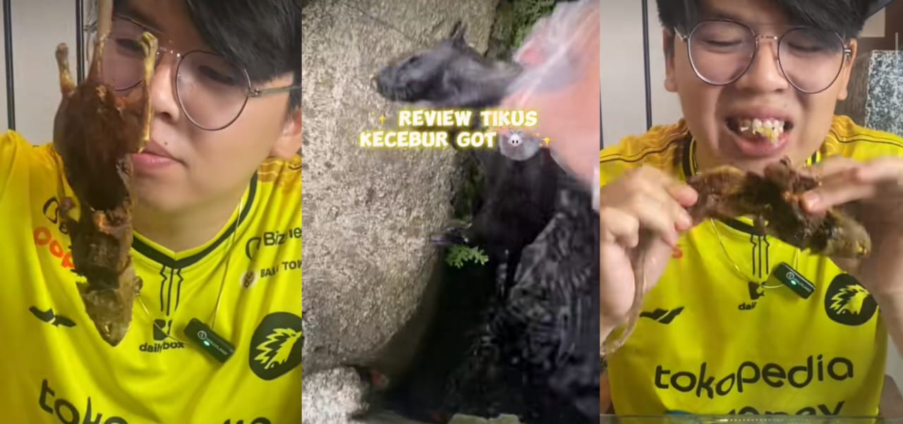Pemuda ini bikin konten makan tikus mati dalam got