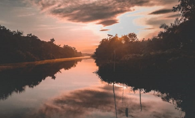 Pulau Mintin yang terletak di Sungai Kahayan Hilir, Kabupaten Pulang Pisau (Pulpis), Kalimantan Tengah.