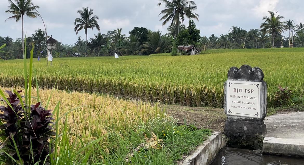 Hamparan Lahan Sawah yang menjadi warisan budaya dunia UNESCO sejak 2012 berupa sistem irigasi tradisional juga karena sistem dan filosofi