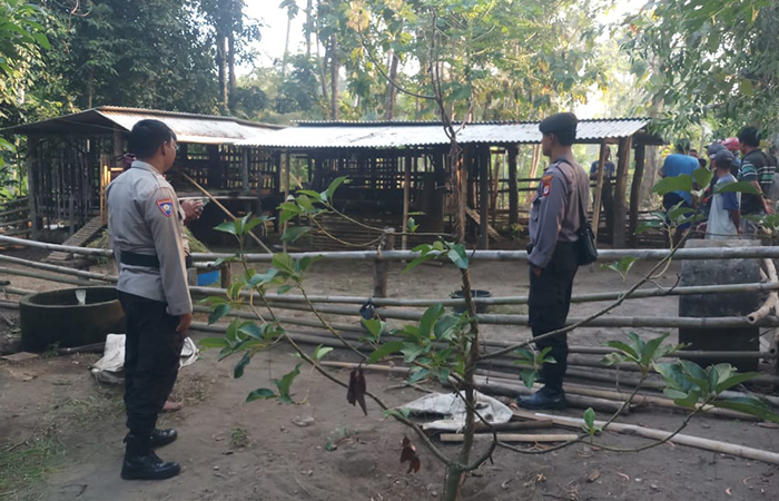 INI LHO: Lokasi kandang kambing Kristanto yang menjadi TKP pencurian kambing.