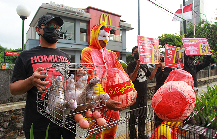 Sejumlah aktivis yang tergabung dalam Animal Friends Jogja (AFJ) menggelar aksi teaterikal di depan restoran cepat saji McDonald