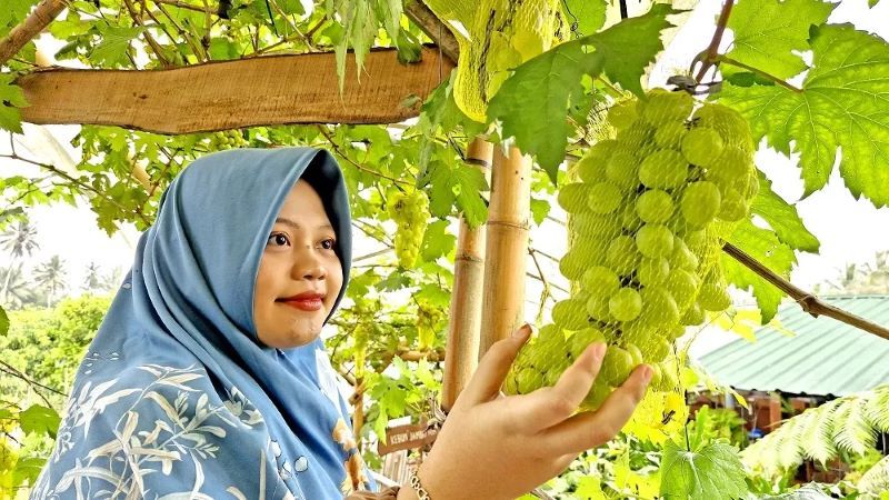 Suasana asri dan kelezatan buah-buahan yang menarik di kebun Swarga Buah Tropical, tempat yang cocok untuk berfoto dan menikmati alam.