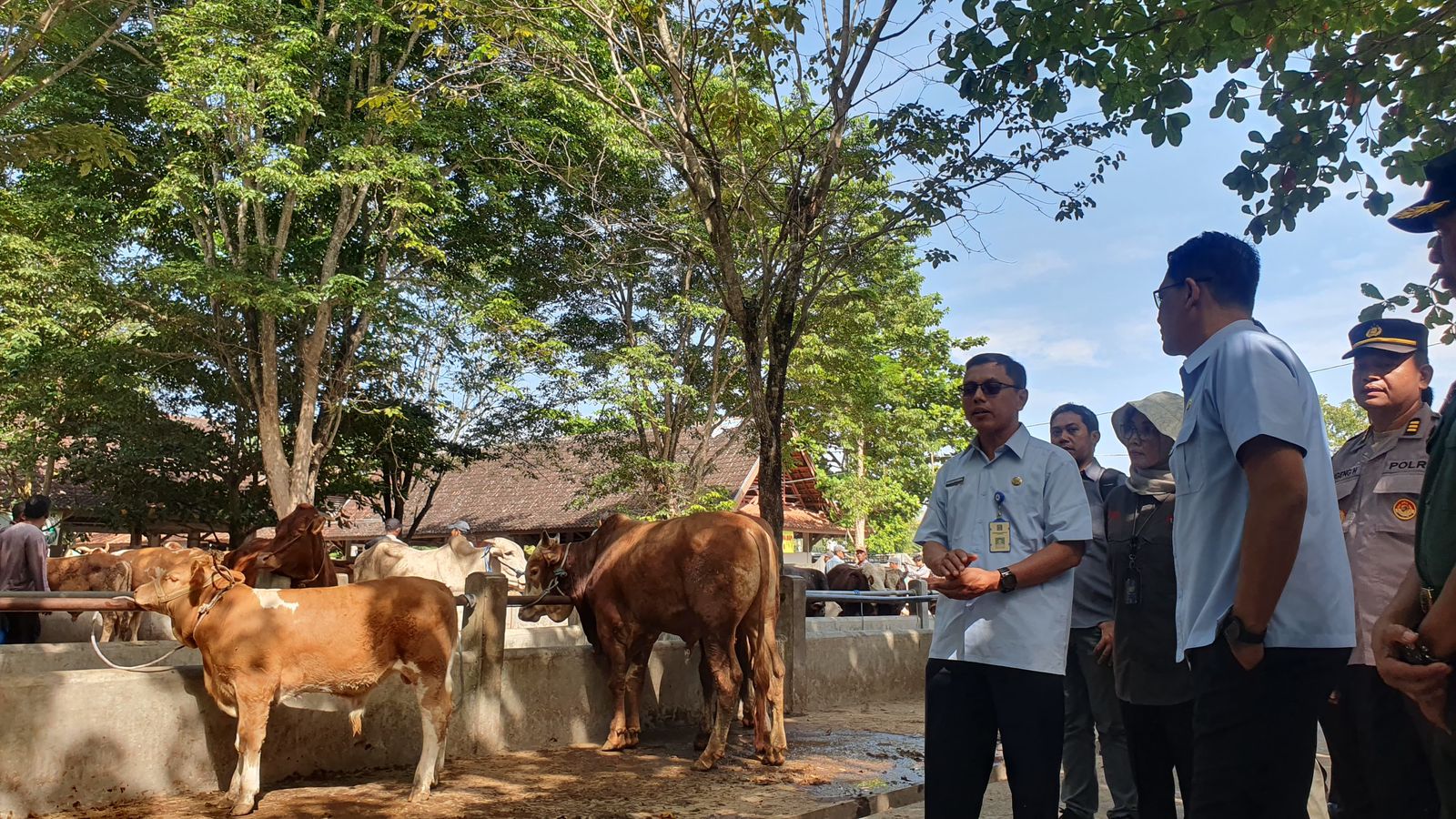Suasana Pemantauan TPID Hewan Kurban Pemprov DIY di Sleman