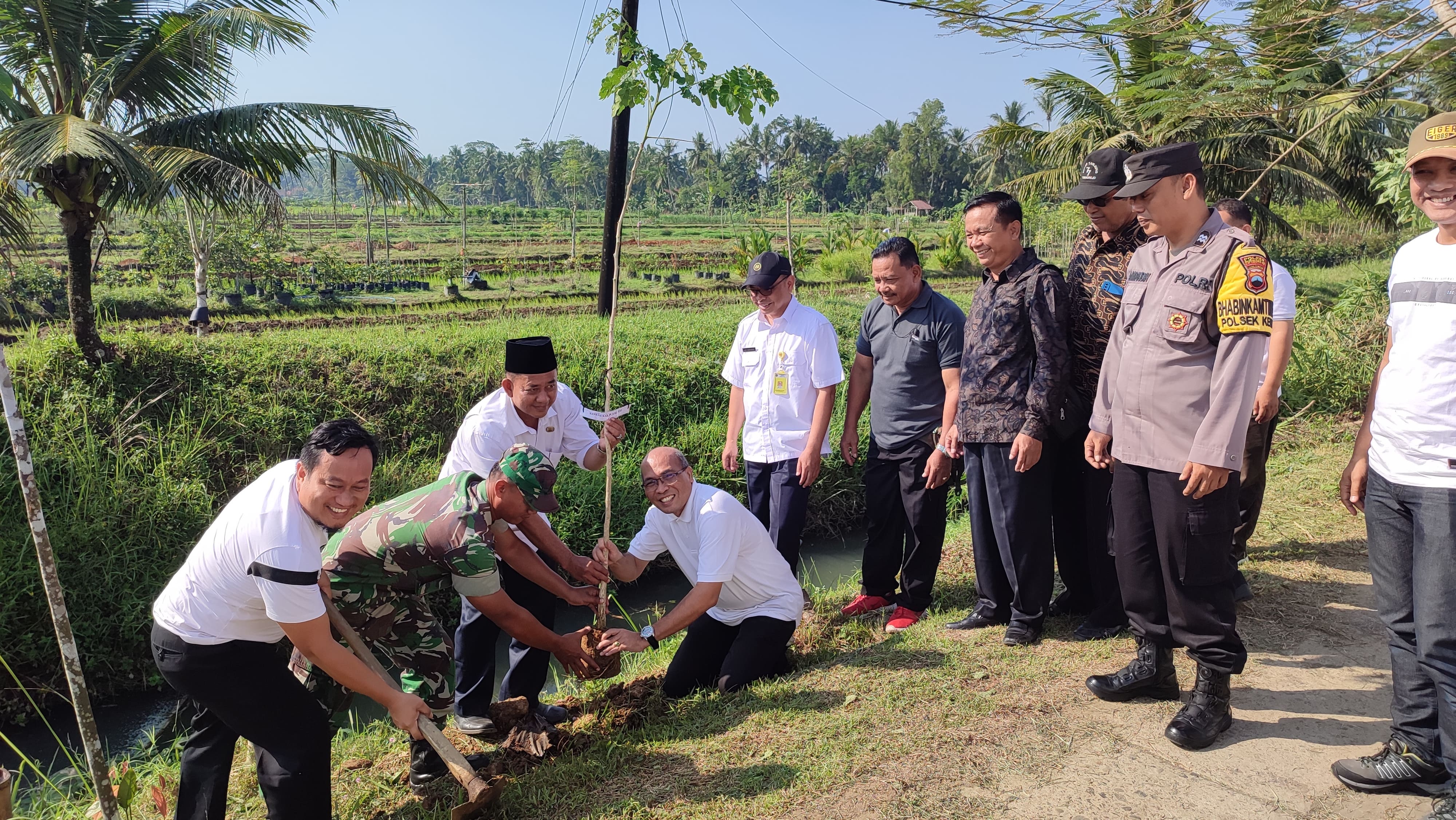 Penanaman seratus pohon di Desa Samping, Kemiri, Purworejo peringati Hari Lingkungan Hidup Sedunia, Rabu (5/6).  &nbsp;