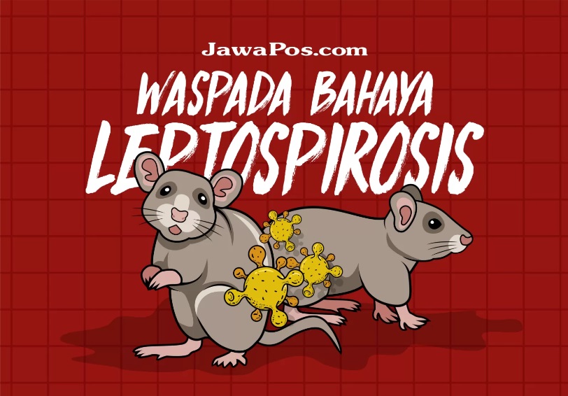 Ilustrasi Leptospirosis. (Dimas Pradipta/JawaPos.com)