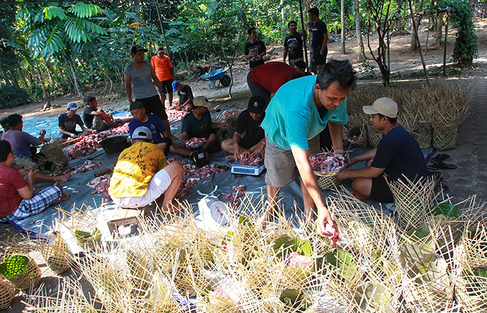 GUNTUR AGA TIRTANA/RADAR JOGJA