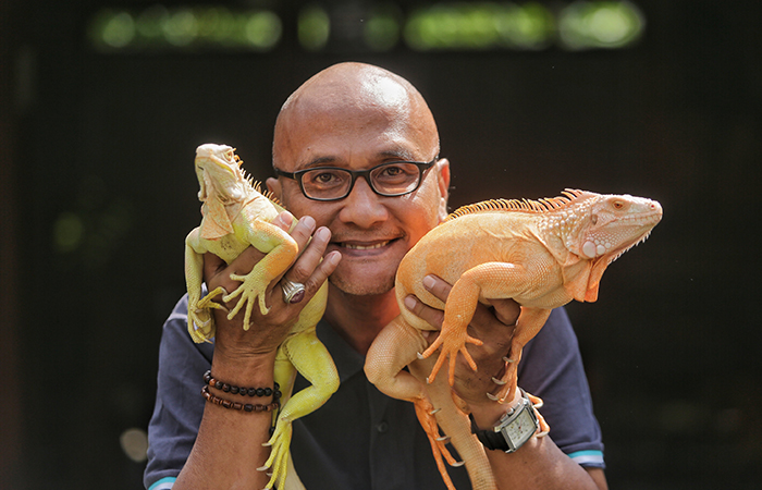 JINAK: Ketua PHRI DIJ Deddy Pranowo Eryono saat menunjukkan hewan peliharaannya berupa iguana jenis albino yang dipelihara sejak 2021 silam.