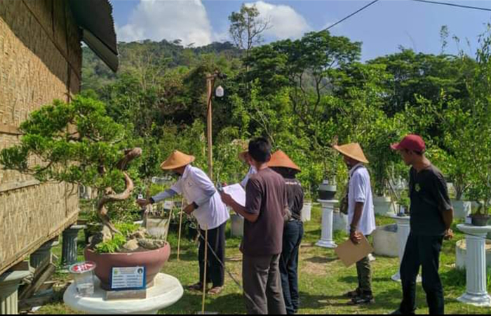 Keterangan Berbagai kegiatan yang sudah dilakukan di Taman Bonsai Manunggal Srimartani Dokumen Taman Bonsai Manunggal Srimartani