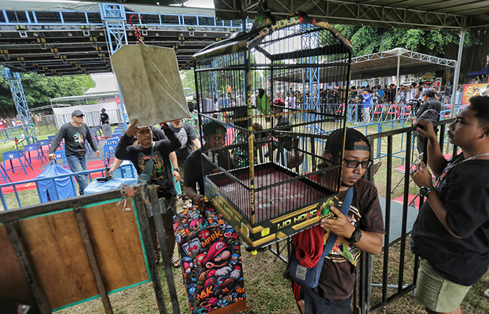 Peserta menggantungkan sangkar burung cucak&nbsp; ijo saat Kompetisi burung nasional, Pakualaman Cup Seri 10 di Lapangan Pemkab Sleman, Minggu (23/6).ELANG KHARISMA DEWANGGA/RADAR JOGJA