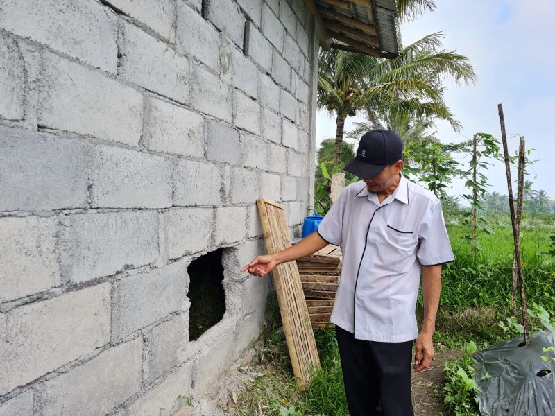 BERLUBANG: Beberapa kambing milik Murtopo dibobol maling dengan cara menjebol tembok di sisi kiri.