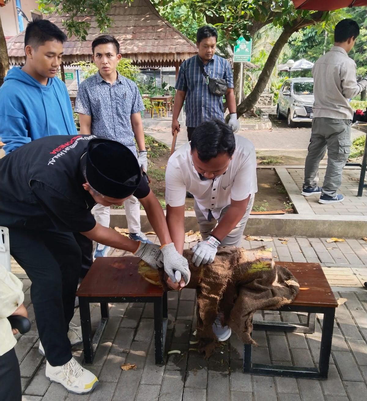 BIAR HALAL: Warga melakukan simulasi penyembelihan hewan dalam acara sosialisasi juru sembelih halal (Juleha) di Fapet UGM pada Senin (27/5).&nbsp;(Dokumentasi Radar Jogja)