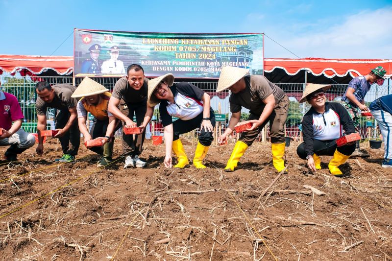 SIMBOLIS: Wakil Wali Kota Magelang bersama jajarannya saat melakukan penanaman bibit jagung di Jalan Magelang-Semarang (utara RSJ Prof dr Soerojo) bersama Kodim 0705/Magelang, Jumat (28/6/2024).