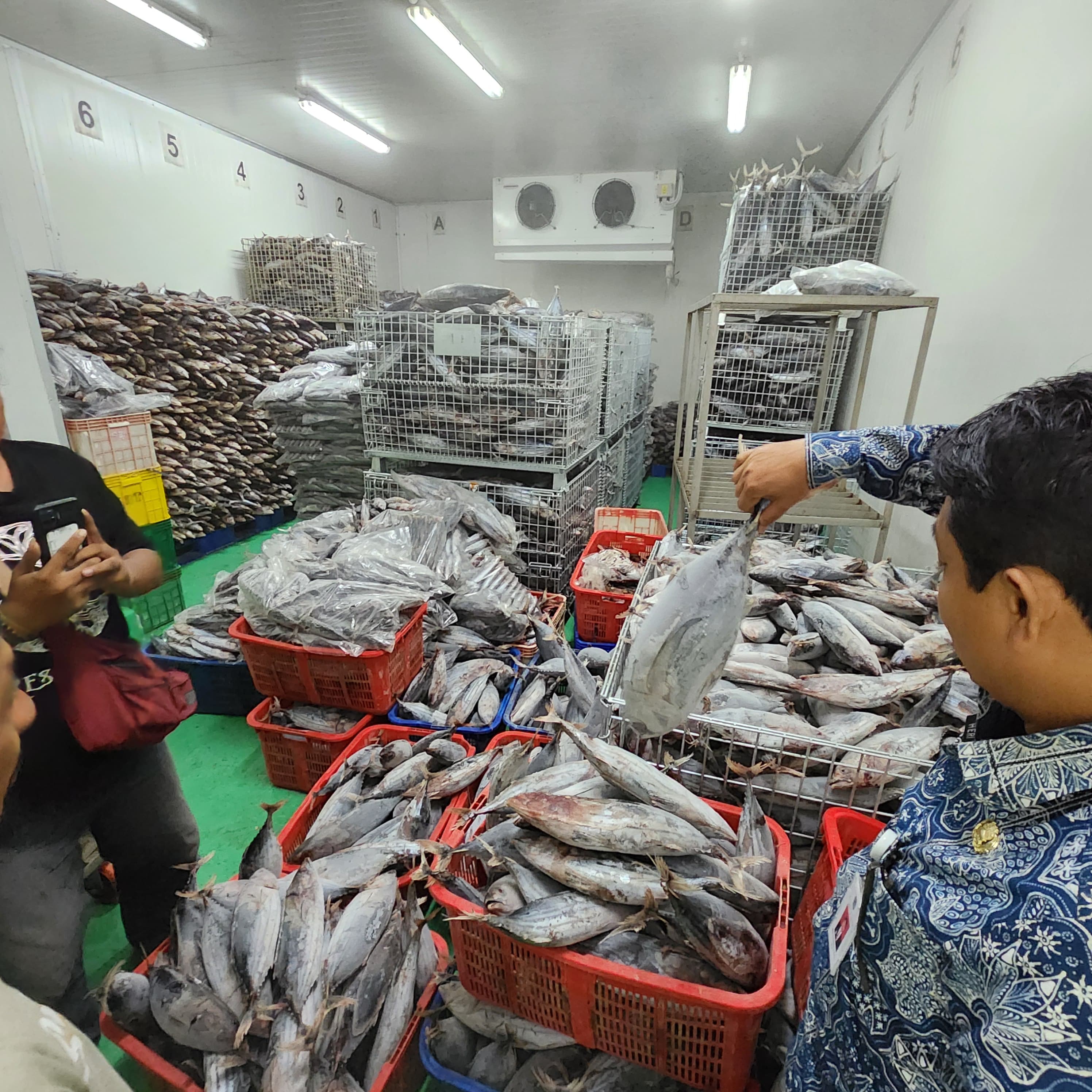 MEMBLUDAK: Ketersediaan ikan-ikan tangkapan nelayan di cold storege atau gudang penyimpanan di Pantai Sadeng, Gunungkidul.&nbsp;(Dokumentasi Pemkab Gunungkidul)