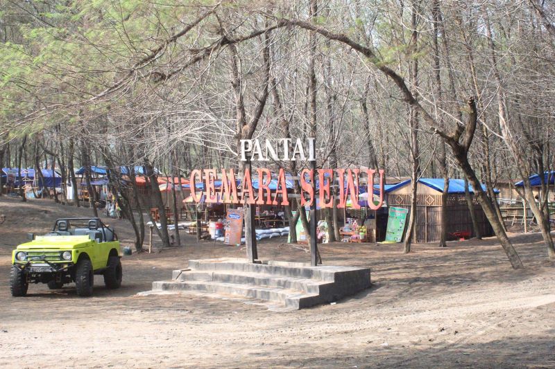 Pantai Cemara Sewu Yogyakarta.