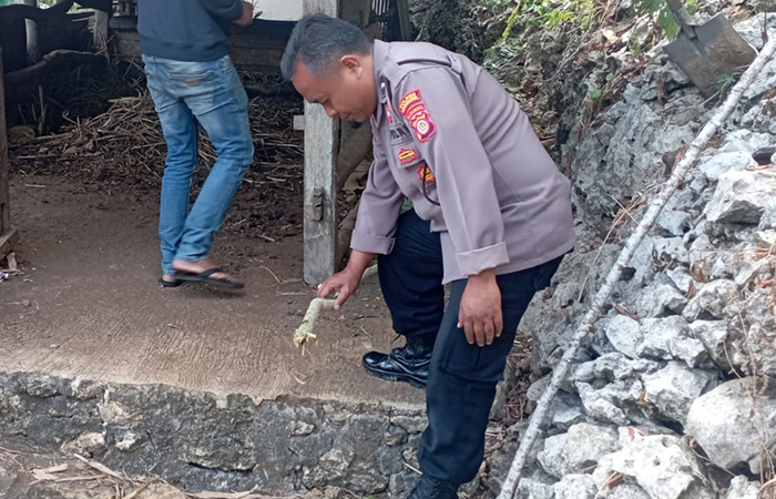 OLAH TKP: Petugas kepolisian saat olah tempat kejadian perkara tewasnya warga kesetrum listrik di Padukuhan Ngasem, Botodayaan, Rongkop, Gunungkidul Selasa (2/7/2024).&nbsp;Dokumentasi Polsek Rongkop&nbsp;