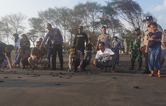 PEDULI LINGKUNGAN: Anggota Polres Kulon Progo bersama masyarakat melepas seratusan tukik ke Pantai Trisik, Kulon Progo Jumat (5/7).DOKUMENTASI POLRES KULON PROGO