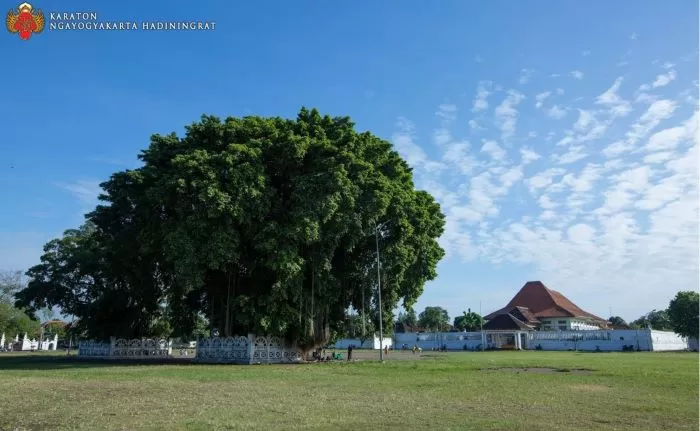 Alun-Alunsalah satu ikon Yogyakarta (Dokomentasi Keraton Yogyakarta)