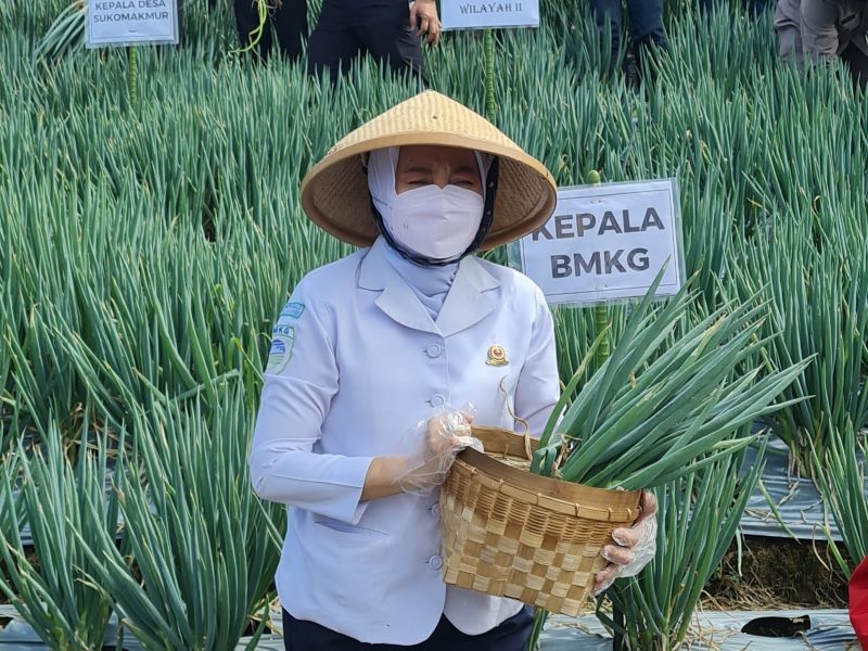 Kepala BMKG Dwikorita Karnawati.