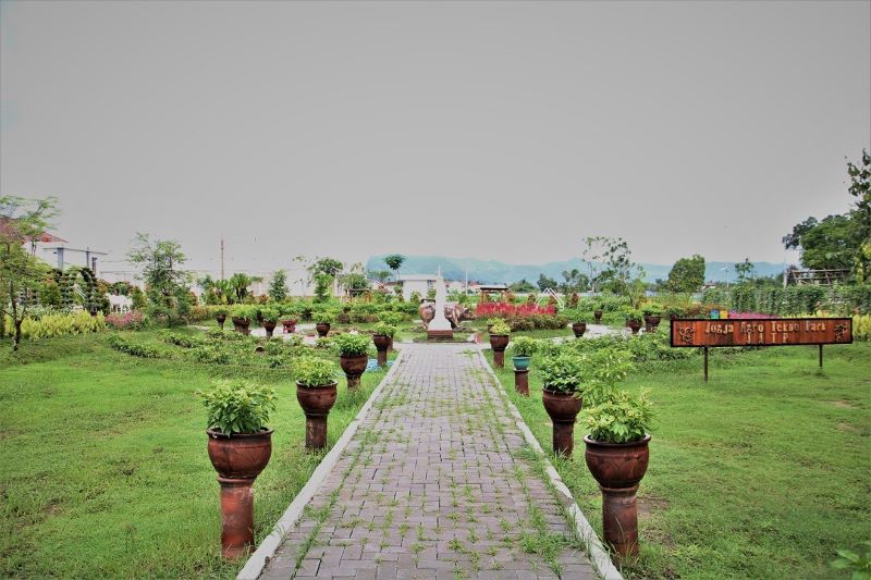 Rekomendasi Desatinasi Agrowisata di Kulon Progo.