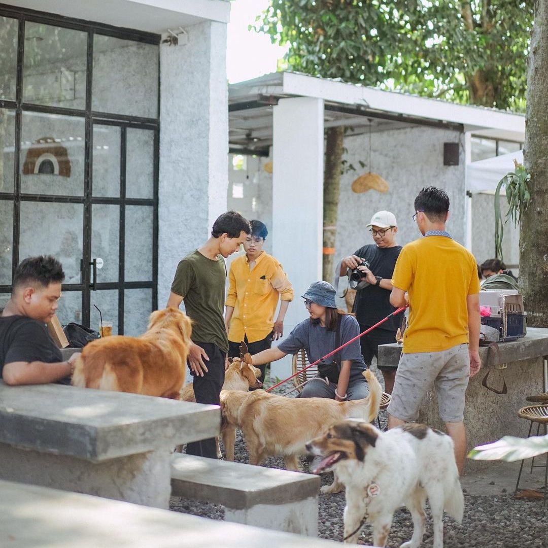 Kafe pet friendly di Jogja.