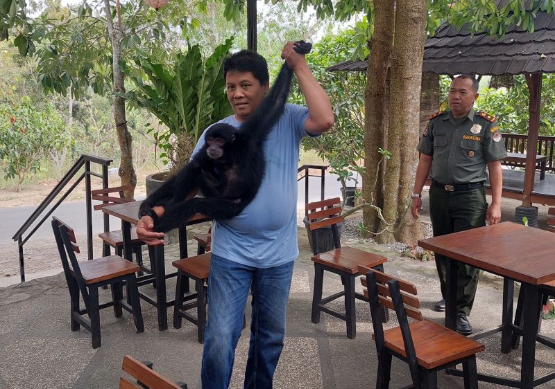 INTERAKSI: Keluarga Hari berinteraksi terkahir kalinya dengan satwa Siamang Rio.&nbsp;