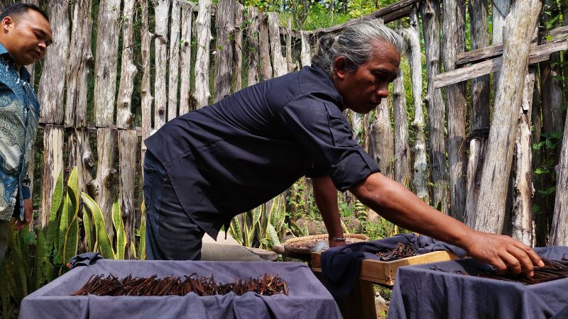 MENJEMUR: Heri menjemur vanili untuk dikeringkan.