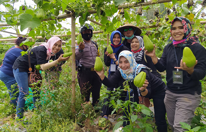 AKSI SOSIAL: Sejumlah orang tampak memanen sayuran yang bakal dibagikan secara gratis kepada warga yang membutuhkan. Termasuk ke sejumlah pondok pesantren.Komunitas Indahnya Berbagi Magelang