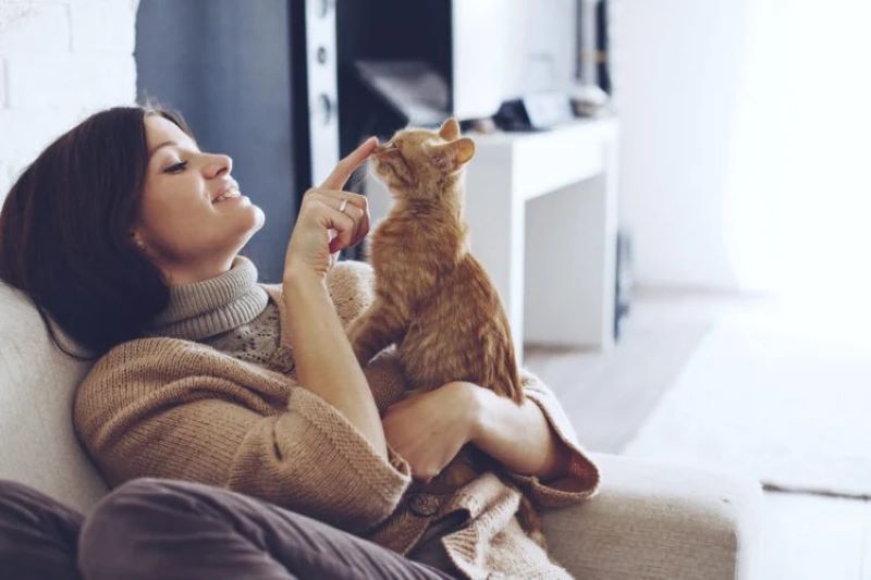Kepribadian unik para pecinta kucing.