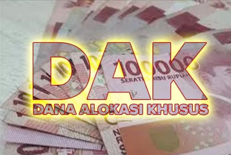 Ilustrasi DAK