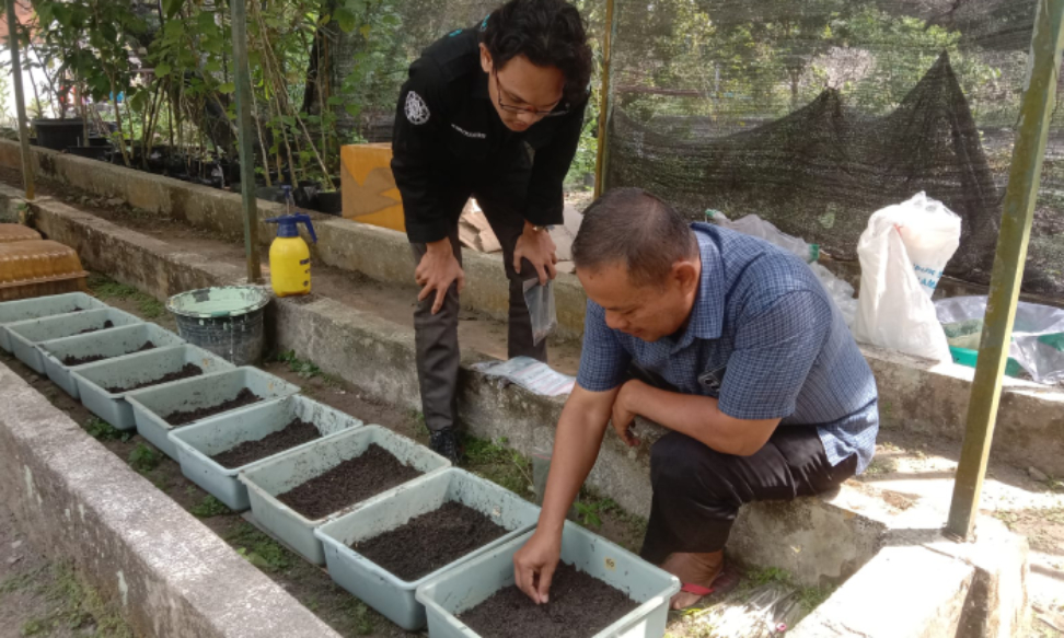 Pengendali Ekosistem Hutan Balai Besar Pengujian Standar Instrumen Kehutanan (BBPSIK), Surip.Delima Purnamasari/Radar Jogja