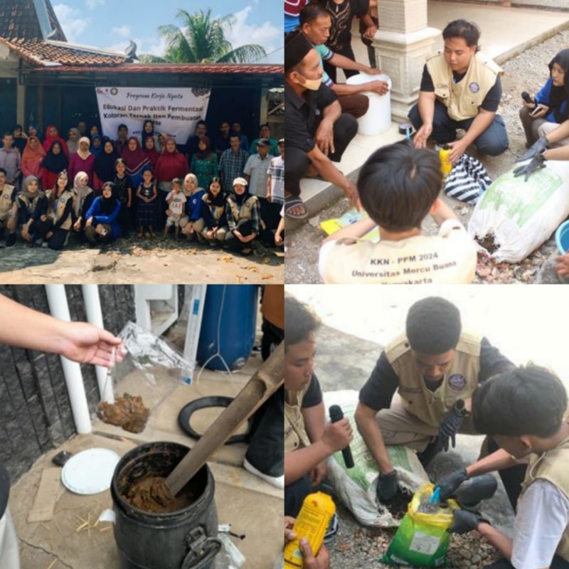 Pengambilan sampel fermentasi dan hasil fermentasi pupuk kandang dari kotoran ternak.