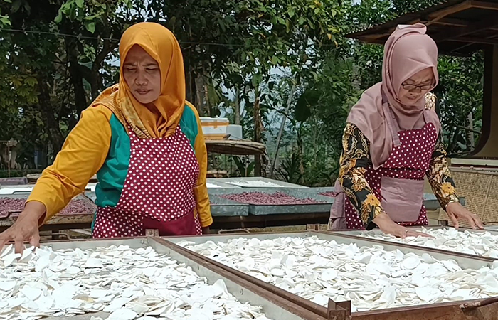 MENJEMUR: Setelah diiris umbi dijemur untuk mengurangi kadar air. Melalui KWT Melati, ibu-ibu pun bisa memproduksi berbagai olahan siap saji.ANOM BAGASKORO/RADAR JOGJA