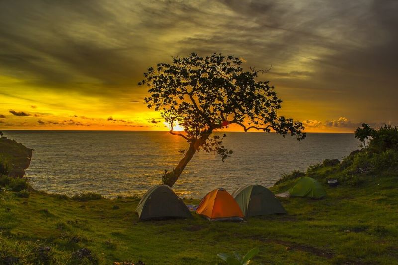 Salah satu spot terkenal di pantai tanjung kesirat adalah pohon miringnya.
