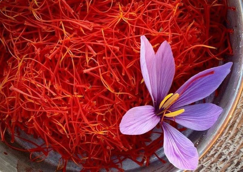 Bunga Saffron